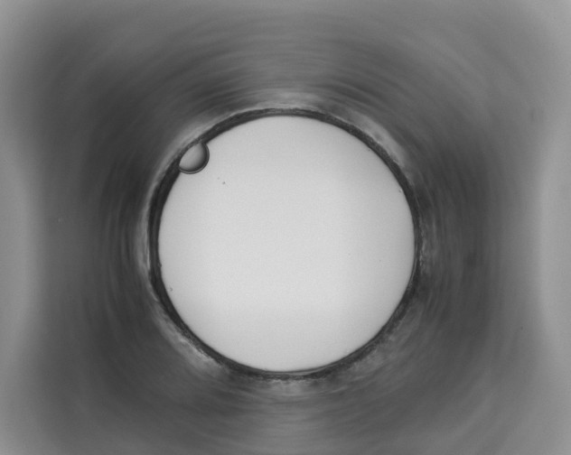 X0000113911080200910221329