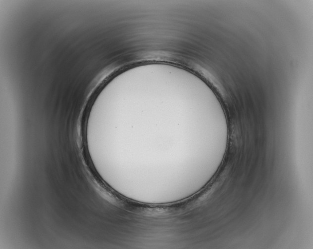 X0000113911082200910221329