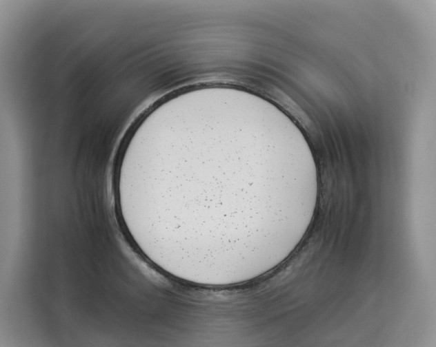 X0000113911084200910221329