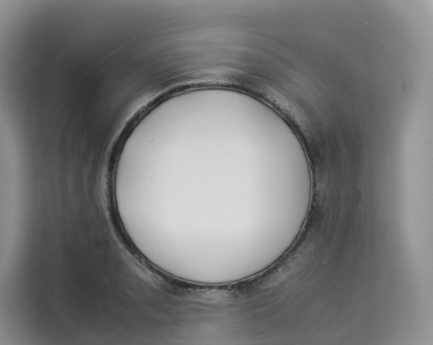 X0000113911085200910221328