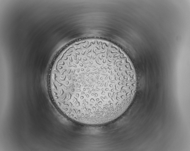 X0000113911086200910221328