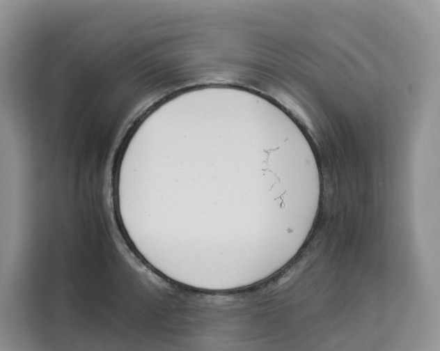 X0000113911088200910221328