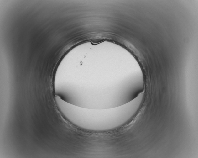 X0000113911089200910221328