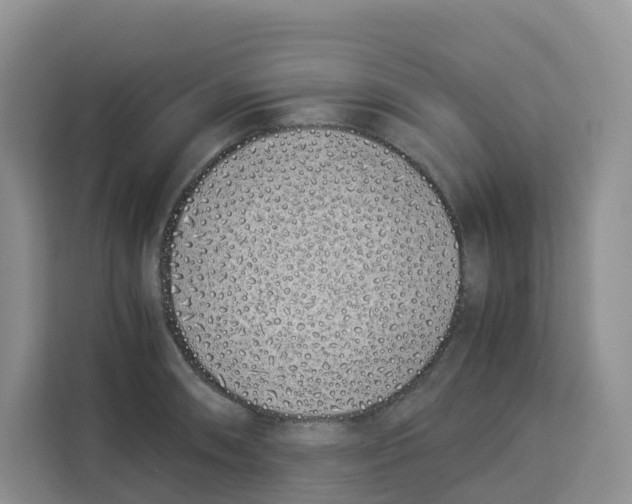 X0000113911090200910221328