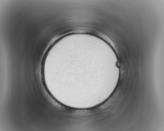 X0000113911091200910221328