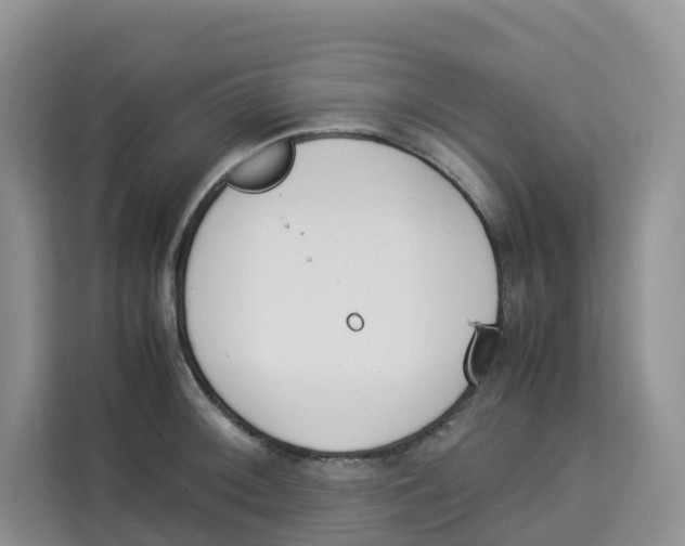 X0000113911092200910221328