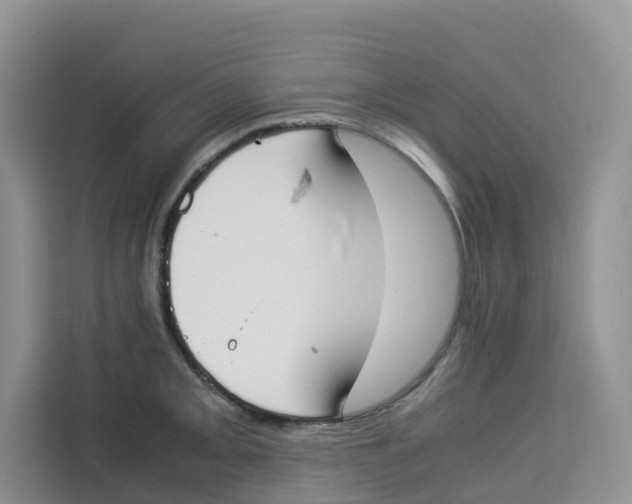 X0000113911093200910221328