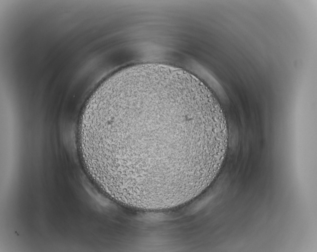 X0000113911094200910221328