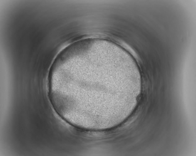 X0000113911095200910221328