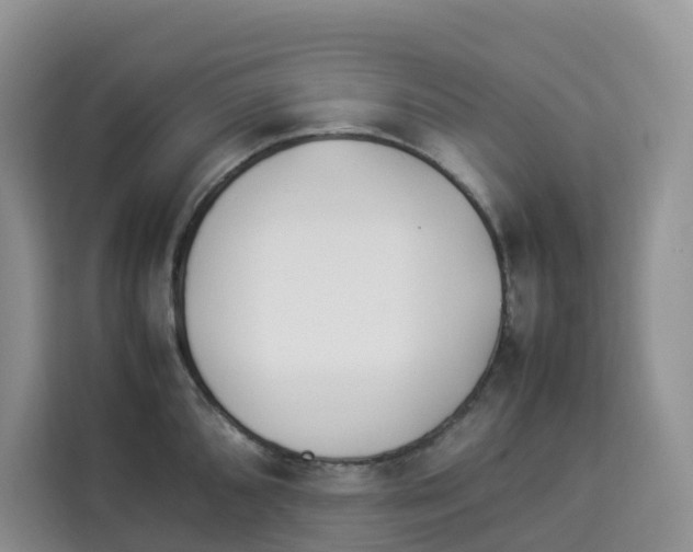 X0000113911096200910221328