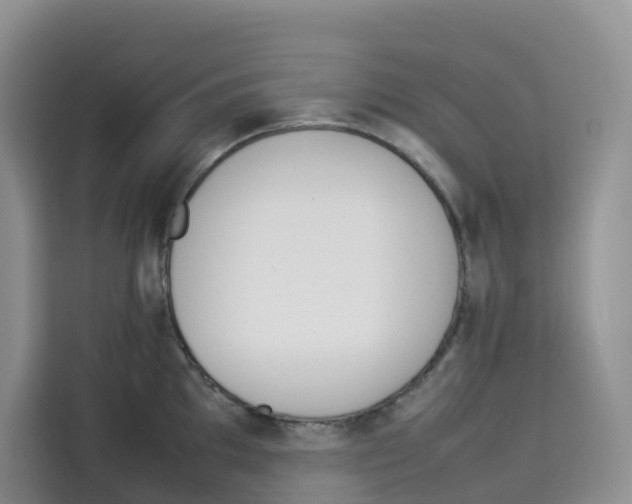 X0000113911097200910221328