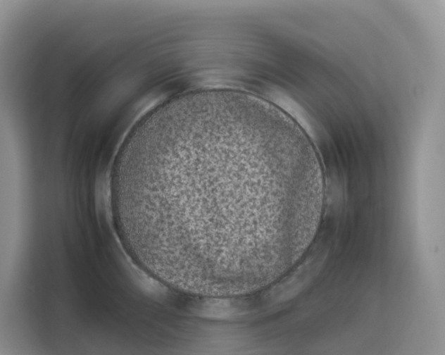 X0000113911098200910221328