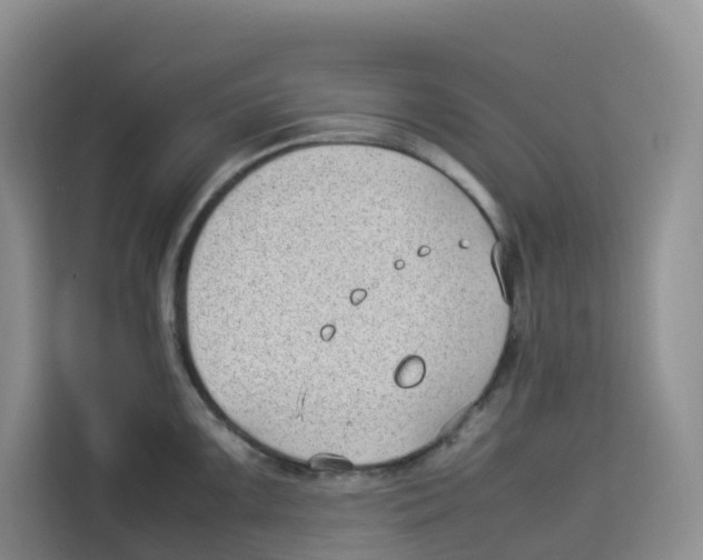 X0000113911099200910221328