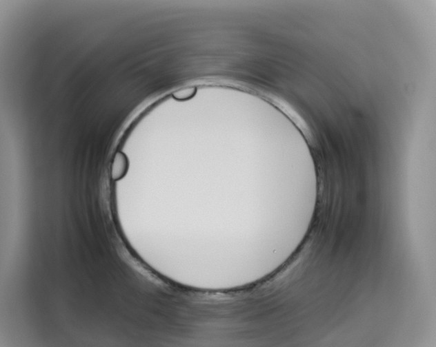 X0000113911100200910221328