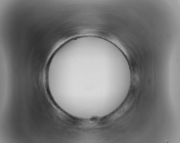 X0000113911101200910221328