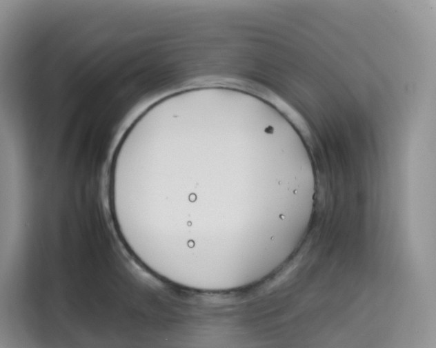 X0000113911102200910221328