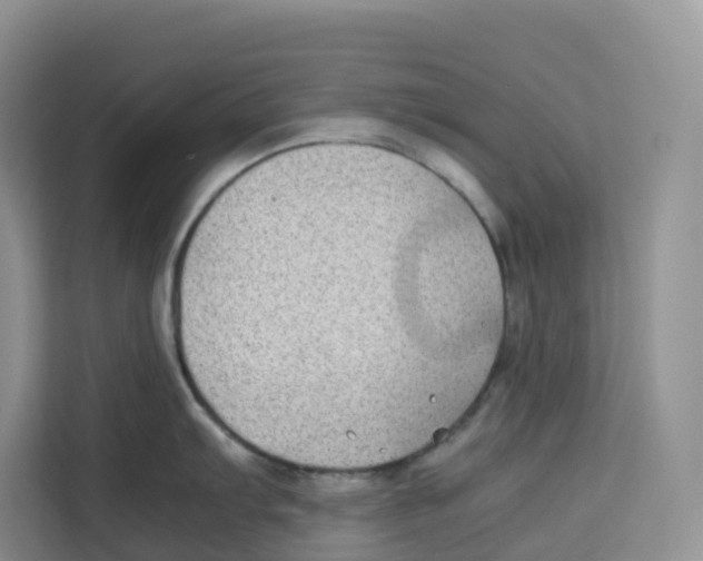 X0000113911103200910221328