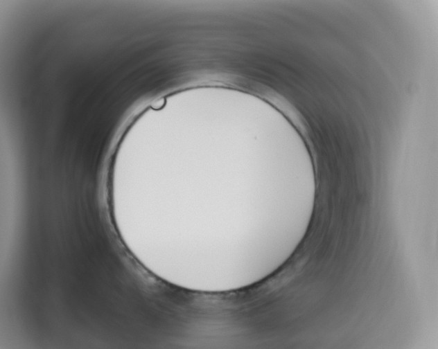 X0000113911104200910221328