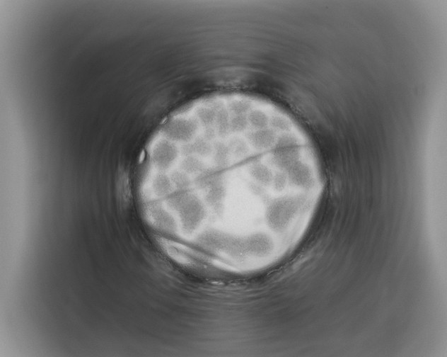 X0000113911106200910221328