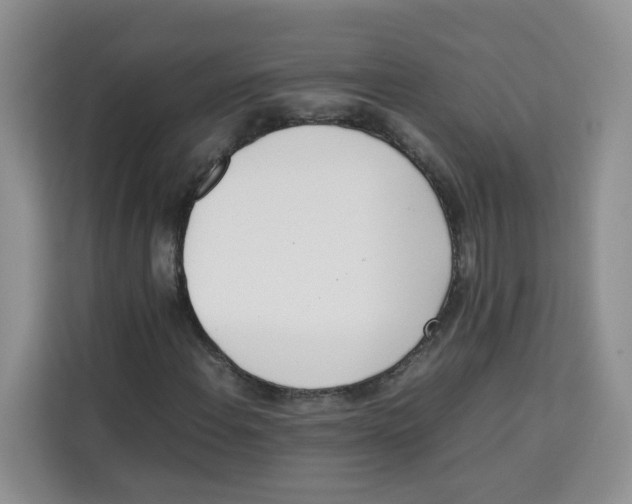 X0000113911108200910221328