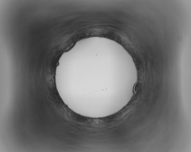 X0000113911109200910221328