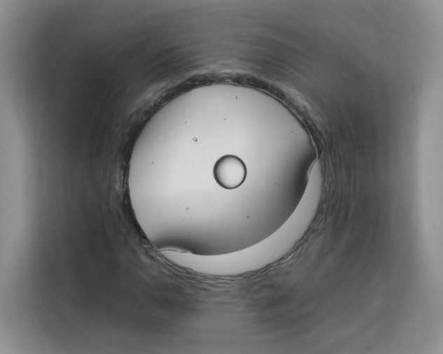 X0000113911110200910221328