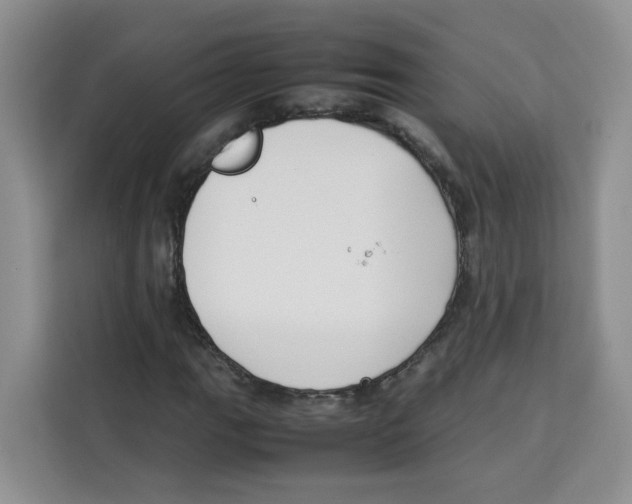 X0000113911111200910221328