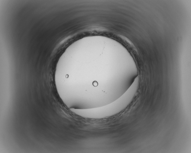 X0000113911112200910221328