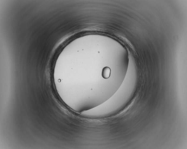 X0000113911114200910221328