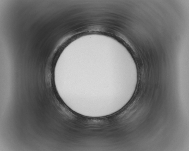 X0000113911115200910221328