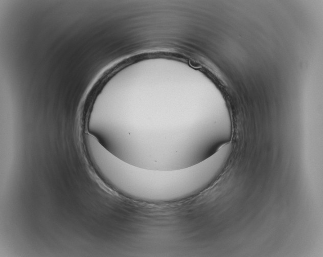 X0000113911116200910221328