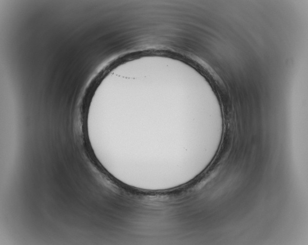 X0000113911118200910221328