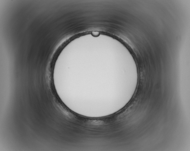 X0000113911119200910221328