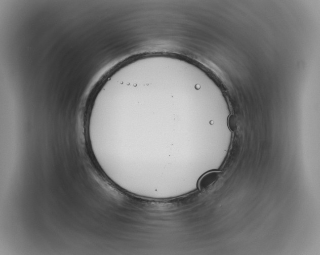 X0000113911120200910221328