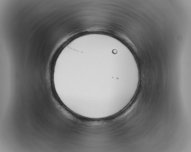 X0000113911122200910221328