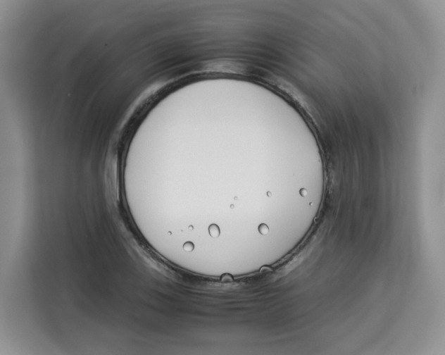 X0000113911123200910221328