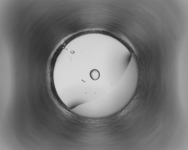 X0000113911124200910221328