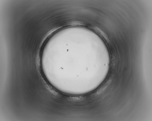 X0000113911125200910221328