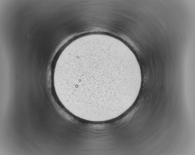 X0000113911126200910221328