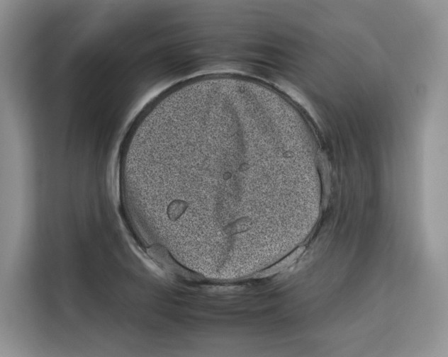 X0000113911127200910221328