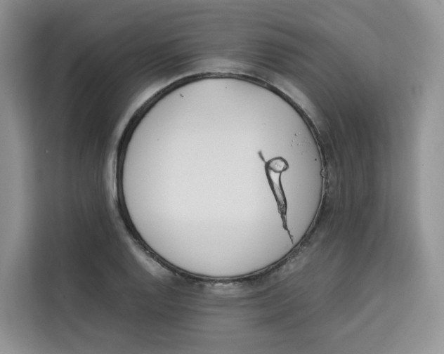 X0000113911128200910221328