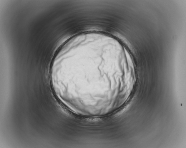 X0000113911129200910221328