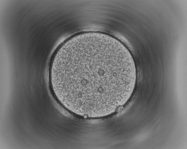 X0000113911130200910221328