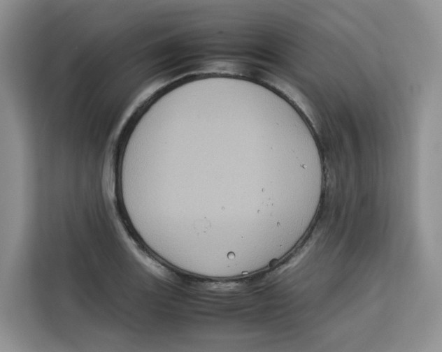 X0000113911131200910221328