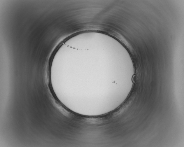 X0000113911132200910221328