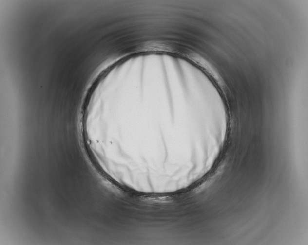 X0000113911133200910221328