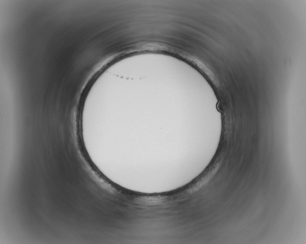 X0000113911134200910221328