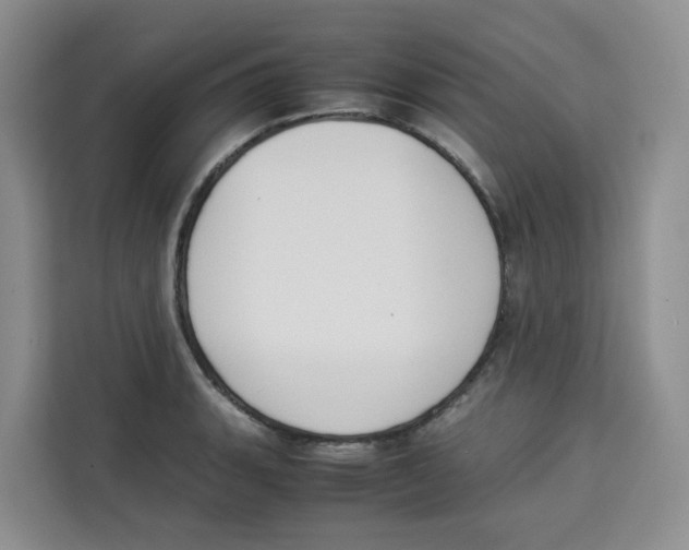 X0000113911135200910221328