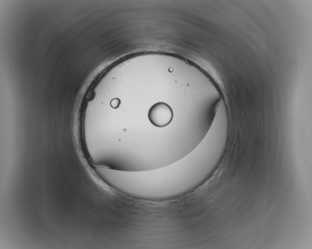 X0000113911136200910221328