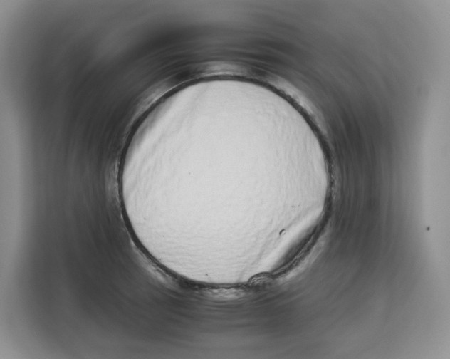 X0000113911137200910221328